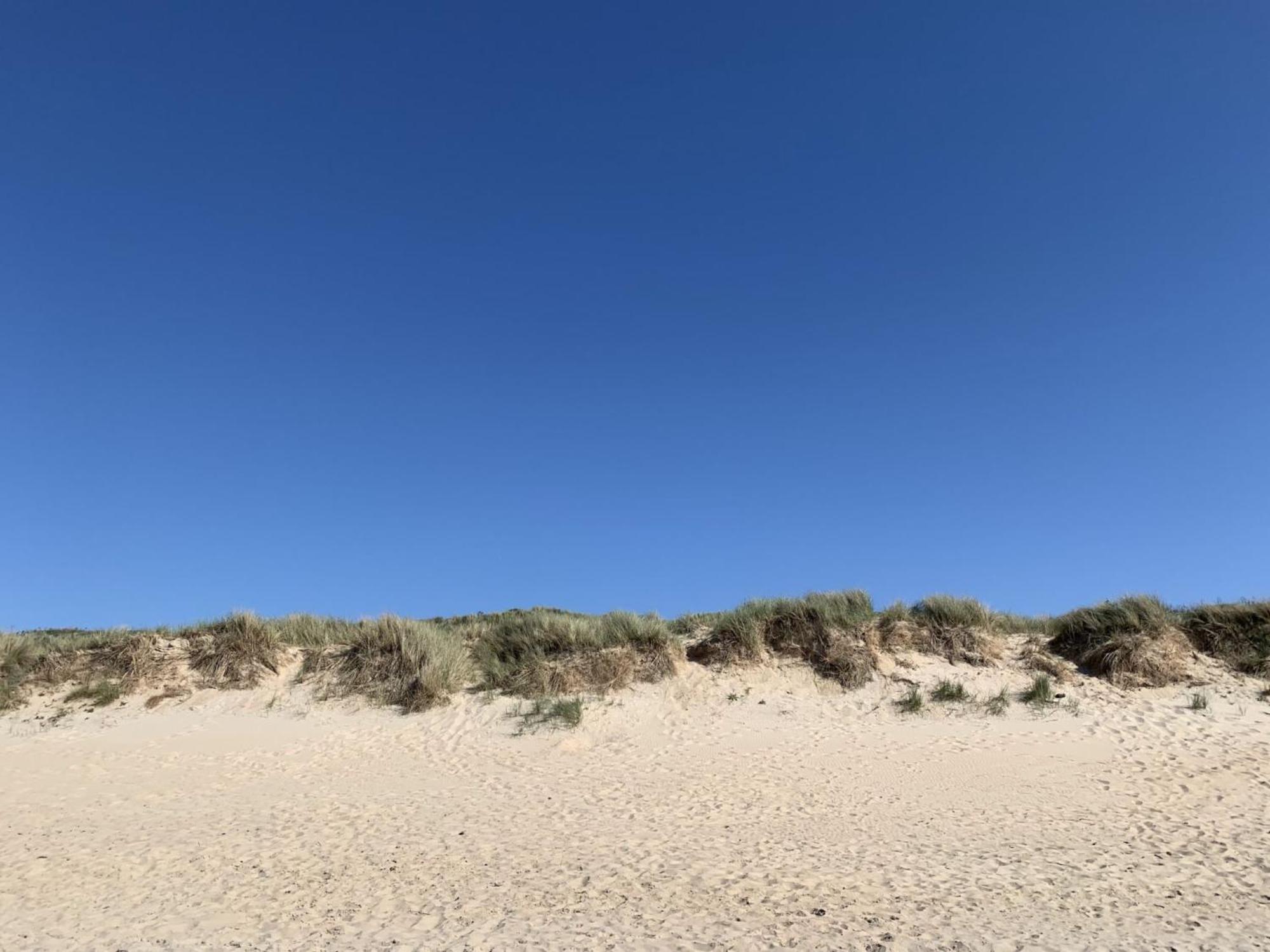 Apartment Littoral By Interhome デ ハーン エクステリア 写真